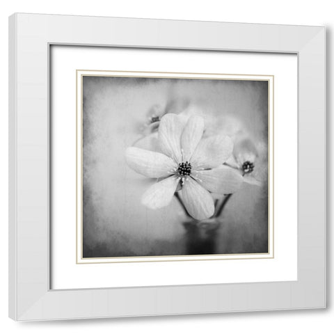 Blooms 1 White Modern Wood Framed Art Print with Double Matting by Allen, Kimberly