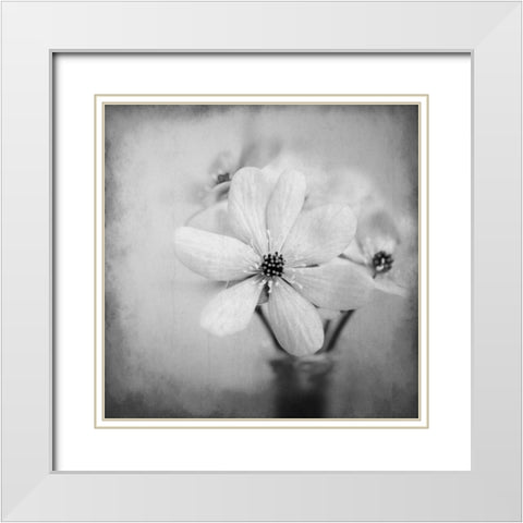 Blooms 1 White Modern Wood Framed Art Print with Double Matting by Allen, Kimberly