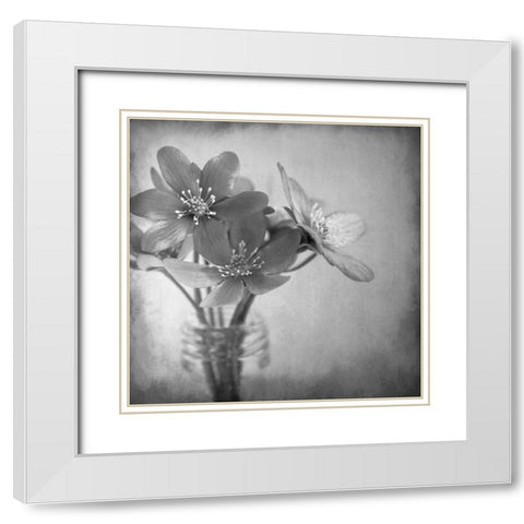 Blooms 2 White Modern Wood Framed Art Print with Double Matting by Allen, Kimberly