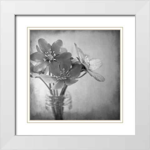 Blooms 2 White Modern Wood Framed Art Print with Double Matting by Allen, Kimberly
