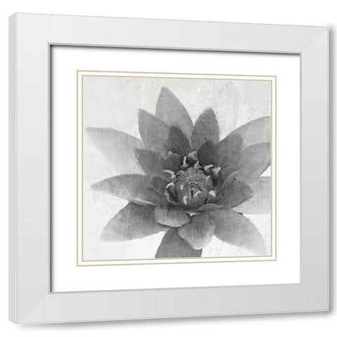 Lotus 1 White Modern Wood Framed Art Print with Double Matting by Kimberly, Allen