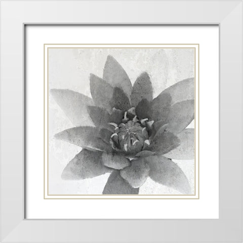 Lotus 1 White Modern Wood Framed Art Print with Double Matting by Kimberly, Allen