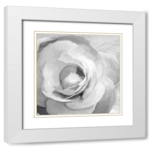 Up Close 1 White Modern Wood Framed Art Print with Double Matting by Kimberly, Allen