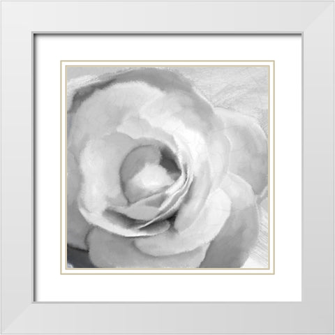 Up Close 1 White Modern Wood Framed Art Print with Double Matting by Kimberly, Allen