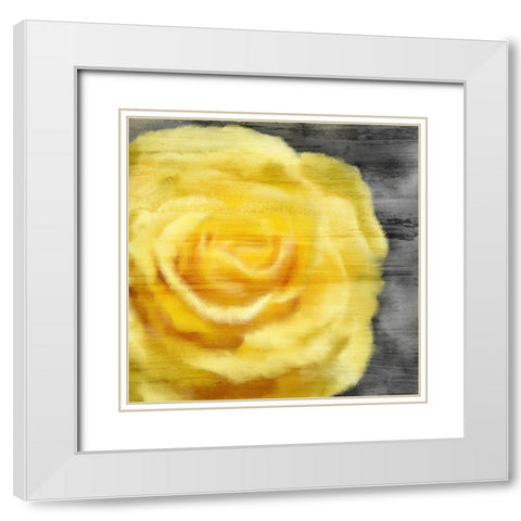 Yellow Rose White Modern Wood Framed Art Print with Double Matting by Kimberly, Allen