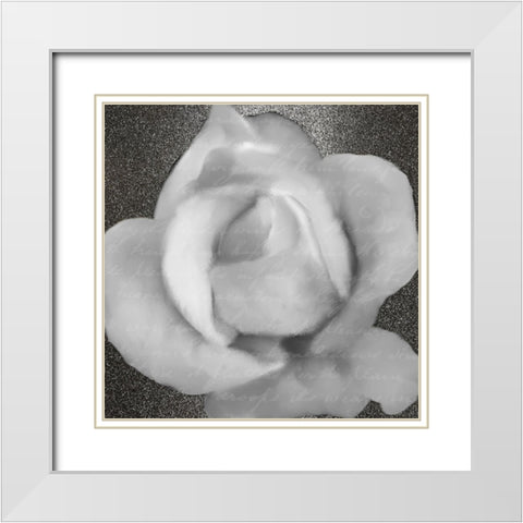 Grey Rose 1 White Modern Wood Framed Art Print with Double Matting by Kimberly, Allen