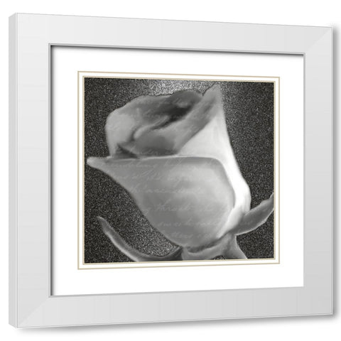 Grey Rose 2 White Modern Wood Framed Art Print with Double Matting by Kimberly, Allen