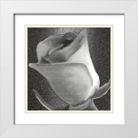 Grey Rose 2 White Modern Wood Framed Art Print with Double Matting by Kimberly, Allen