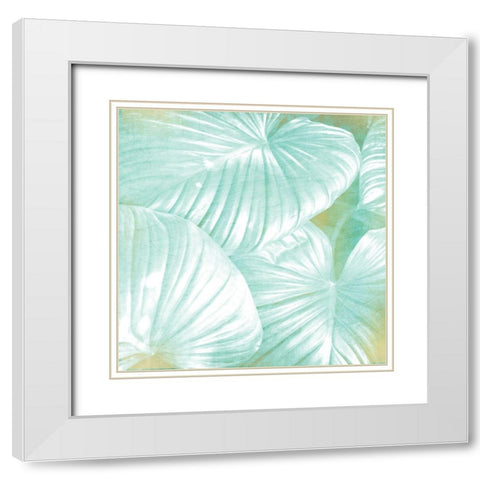 Tropics 1 White Modern Wood Framed Art Print with Double Matting by Kimberly, Allen