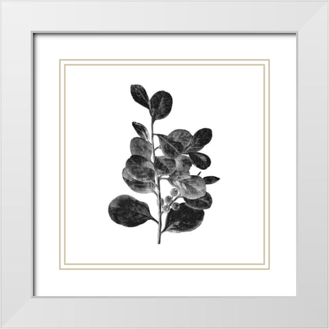 Botanical Black 1 White Modern Wood Framed Art Print with Double Matting by Kimberly, Allen