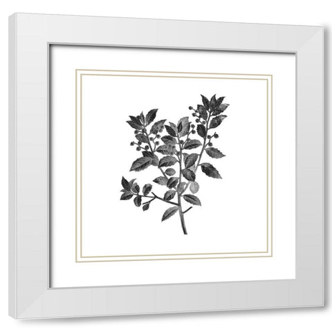 Botanical Black 2 White Modern Wood Framed Art Print with Double Matting by Kimberly, Allen