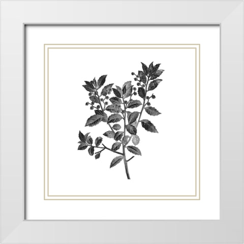 Botanical Black 2 White Modern Wood Framed Art Print with Double Matting by Kimberly, Allen
