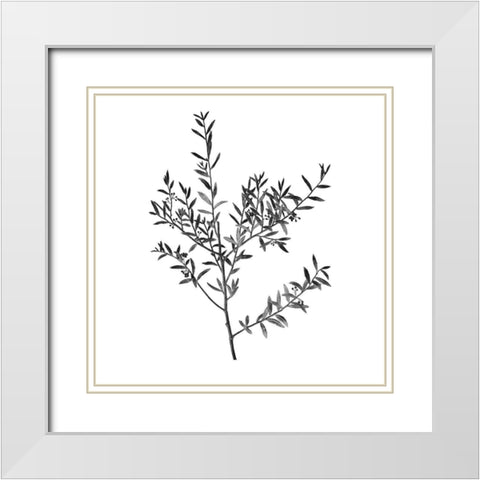 Botanical Black 3 White Modern Wood Framed Art Print with Double Matting by Kimberly, Allen