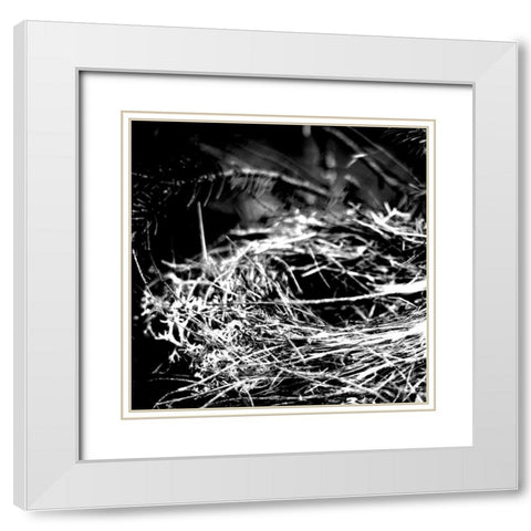 White Nest 1 White Modern Wood Framed Art Print with Double Matting by Kimberly, Allen