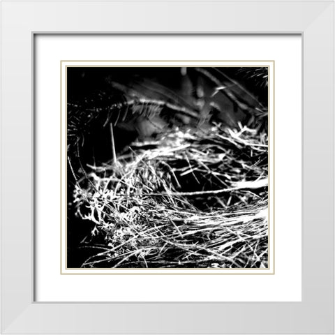 White Nest 1 White Modern Wood Framed Art Print with Double Matting by Kimberly, Allen