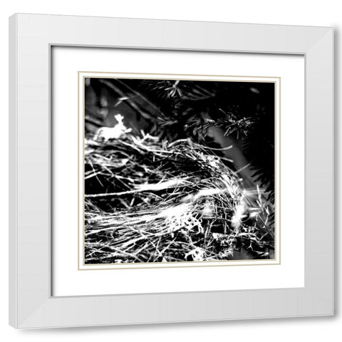 White Nest 2 White Modern Wood Framed Art Print with Double Matting by Kimberly, Allen