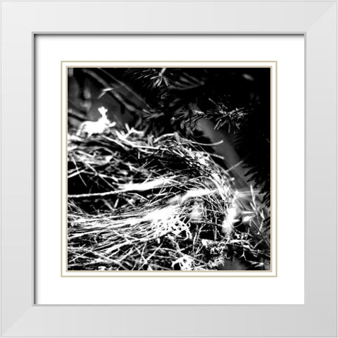 White Nest 2 White Modern Wood Framed Art Print with Double Matting by Kimberly, Allen