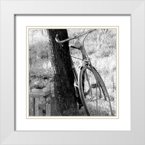 Out for a Ride White Modern Wood Framed Art Print with Double Matting by Kimberly, Allen