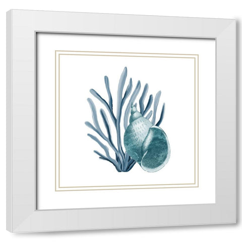 Coastal Coral 4 White Modern Wood Framed Art Print with Double Matting by Kimberly, Allen