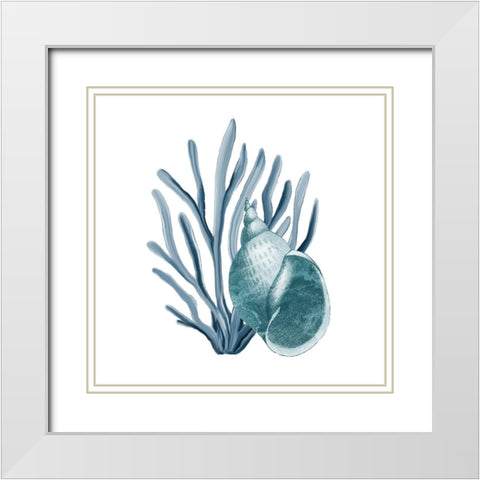 Coastal Coral 4 White Modern Wood Framed Art Print with Double Matting by Kimberly, Allen