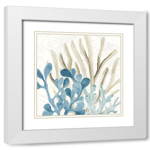 Coral Square 3 White Modern Wood Framed Art Print with Double Matting by Kimberly, Allen