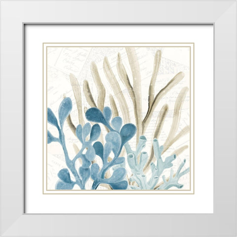 Coral Square 3 White Modern Wood Framed Art Print with Double Matting by Kimberly, Allen