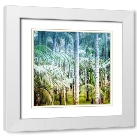 Palm Tree Forest 1 White Modern Wood Framed Art Print with Double Matting by Kimberly, Allen