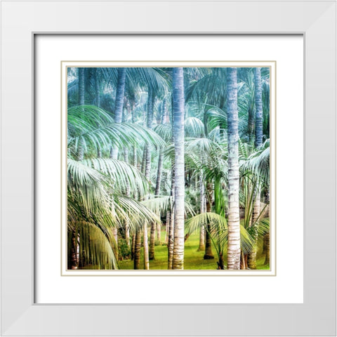 Palm Tree Forest 1 White Modern Wood Framed Art Print with Double Matting by Kimberly, Allen
