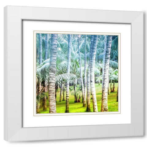 Palm Tree Forest 2 White Modern Wood Framed Art Print with Double Matting by Kimberly, Allen