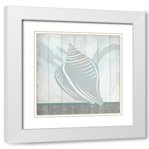 Sea Shell B White Modern Wood Framed Art Print with Double Matting by Allen, Kimberly