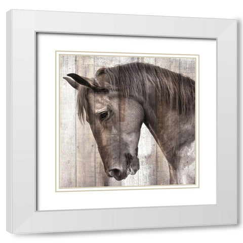 King White Modern Wood Framed Art Print with Double Matting by Allen, Kimberly