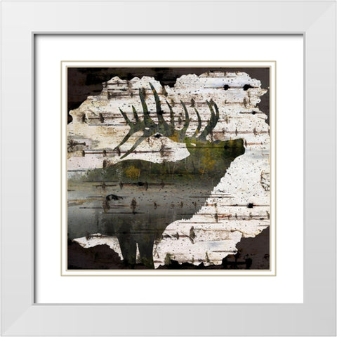 Birch Forest 1 White Modern Wood Framed Art Print with Double Matting by Allen, Kimberly