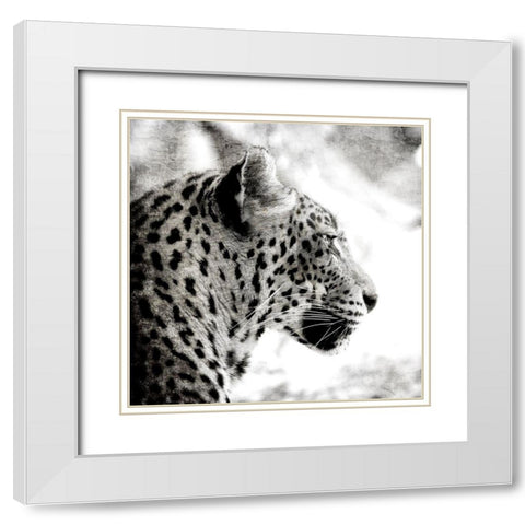 Leopard Gaze White Modern Wood Framed Art Print with Double Matting by Allen, Kimberly