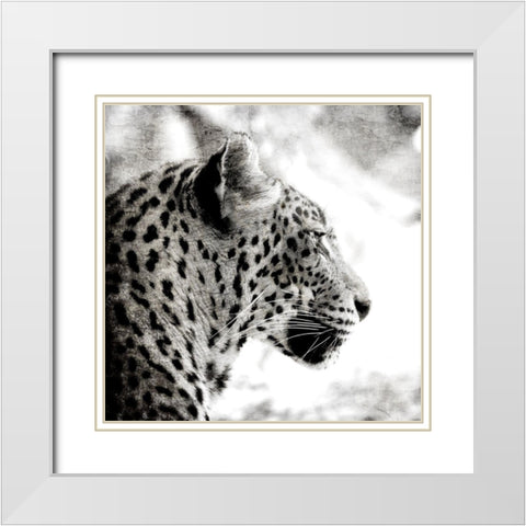 Leopard Gaze White Modern Wood Framed Art Print with Double Matting by Allen, Kimberly