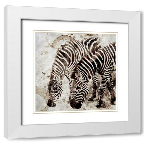 Zebras White Modern Wood Framed Art Print with Double Matting by Allen, Kimberly