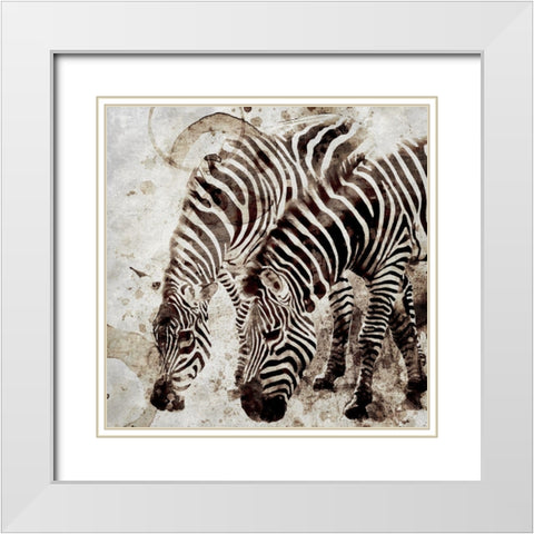 Zebras White Modern Wood Framed Art Print with Double Matting by Allen, Kimberly