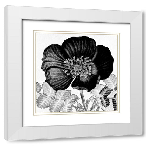 Black and White Bloom 2 White Modern Wood Framed Art Print with Double Matting by Allen, Kimberly