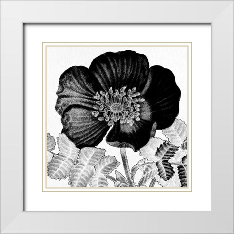Black and White Bloom 2 White Modern Wood Framed Art Print with Double Matting by Allen, Kimberly