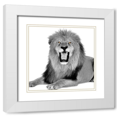 Power White Modern Wood Framed Art Print with Double Matting by Allen, Kimberly