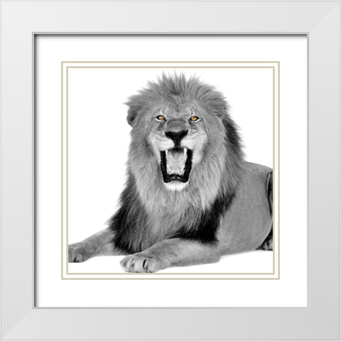 Power White Modern Wood Framed Art Print with Double Matting by Allen, Kimberly