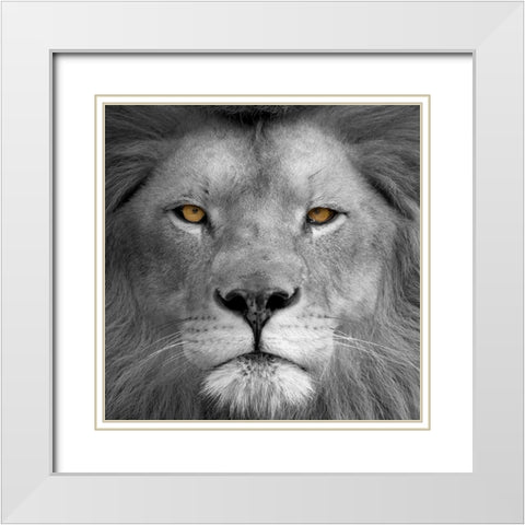 Lion Power White Modern Wood Framed Art Print with Double Matting by Allen, Kimberly