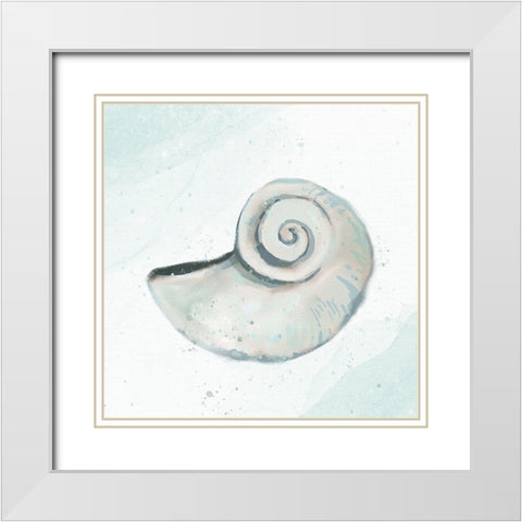 Seashore Shell 1 White Modern Wood Framed Art Print with Double Matting by Allen, Kimberly