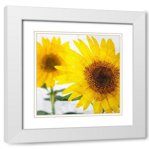Sunnyside White Modern Wood Framed Art Print with Double Matting by Allen, Kimberly