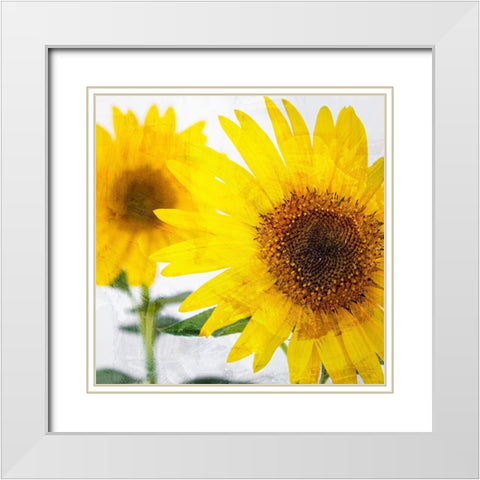 Sunnyside White Modern Wood Framed Art Print with Double Matting by Allen, Kimberly