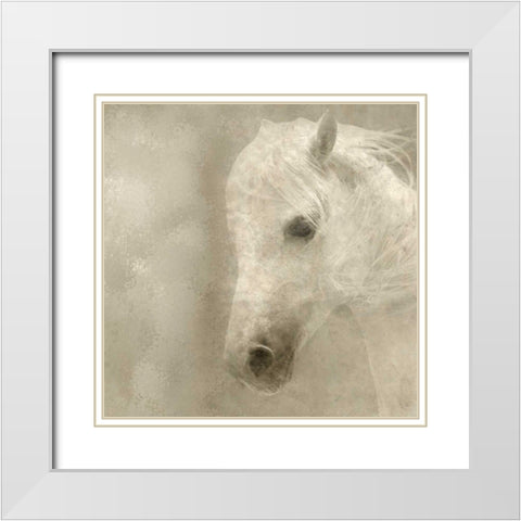 White Mane White Modern Wood Framed Art Print with Double Matting by Allen, Kimberly