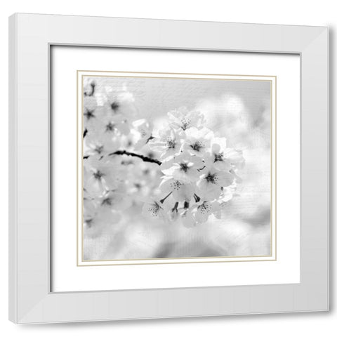 Postcard Magnolia 1 White Modern Wood Framed Art Print with Double Matting by Kimberly, Allen