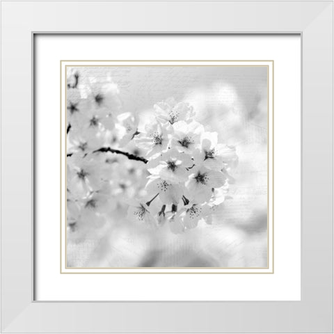 Postcard Magnolia 1 White Modern Wood Framed Art Print with Double Matting by Kimberly, Allen
