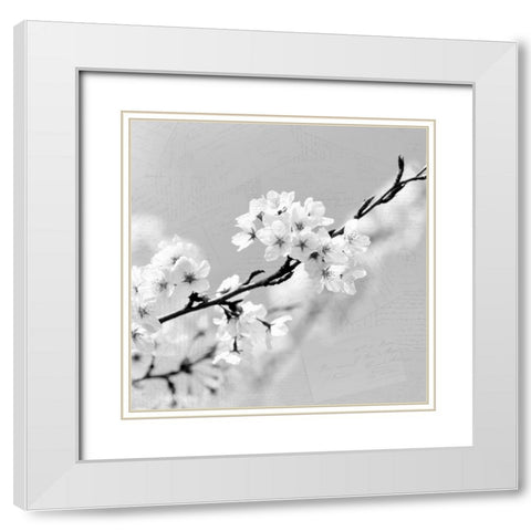 Postcard Magnolia 2 White Modern Wood Framed Art Print with Double Matting by Kimberly, Allen