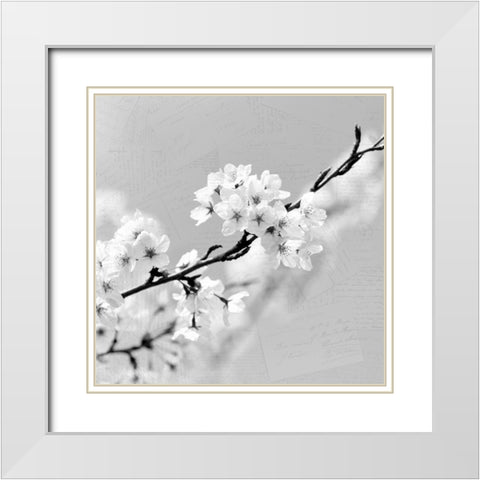 Postcard Magnolia 2 White Modern Wood Framed Art Print with Double Matting by Kimberly, Allen