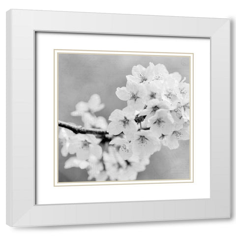 Postcard Magnolia 3 White Modern Wood Framed Art Print with Double Matting by Kimberly, Allen